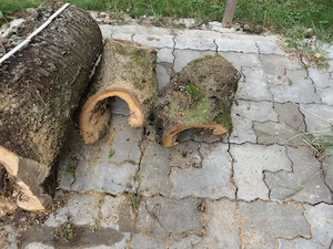 3 hohle Holzstücke zur Deko und Brennholz zuverkaufen