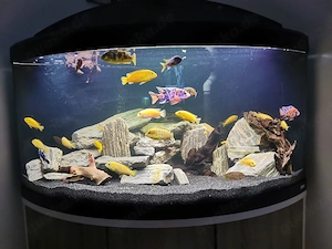 aquarium 350l