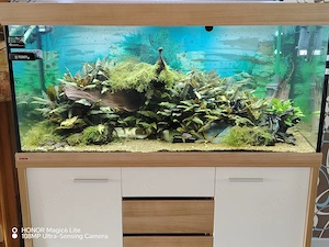 Aquarium zu verschenken 
