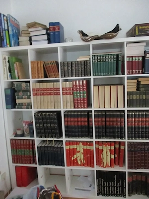 Bücher Sammlung