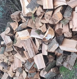 Kaminholz Buche Trockn