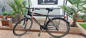 Alu-Rex Touring Fahrrad schwarz 24 Gang