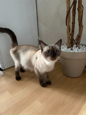 Chantal sicht neues zuahsue 