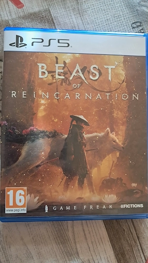 Playstation 5 Spiel