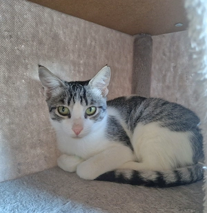 Bary, 1 Jahr, lieb