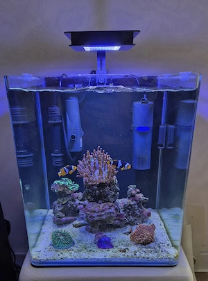 Nano Meerwasseraquarium 30l mit Besatz&Technik&Zubehör