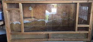Terrarium  OSB  Glas