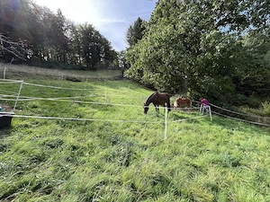 1-2 Offenstallplätze  Einstellerplätze für Ponys