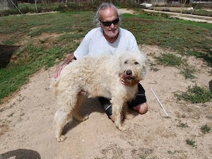 Lidia sucht ihr Zuhause (noch auf Sardinien)