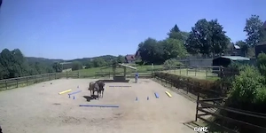 Suche Offenstall zur Pacht in Böhl-Iggelheim