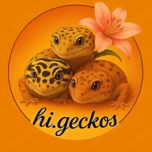 Leopardgecko Jungtiere 2026  