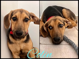 Colin 4 Monate alt 