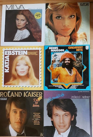 30 LP's Gesamt oder Einzeln