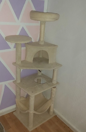 Unser Eddy sucht ein neues für immer Zuhause
