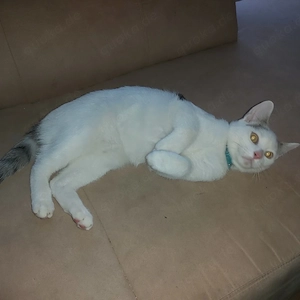 Unser Eddy sucht ein neues für immer Zuhause