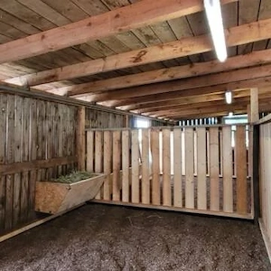 Pferdebox frei