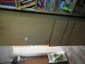 Schrank für Kühlschrank Einbau oder anderes zu verschenken