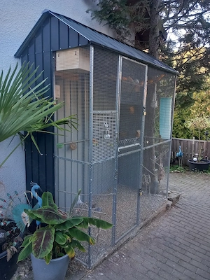 Neuwerige Vogelvoliere 