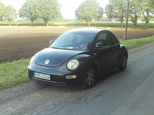 Toller VW Beetle, Liebhaber- Bastlerfahrzeug zu verkaufen!