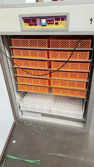 automatisches Dachdecker  