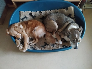 Suche 2 Zimmer Wohnung in Herrenberg und Umgebung