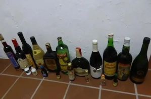 Alkohol 19 Flaschen Spirituosen Schnaps Korn Wein Remy Martin Sherry Magenbitter Likör Eiswein
