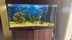 Aquarium Juwel 125Liter 