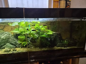 aquarium komplett 