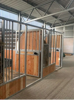 Pferde Stall 