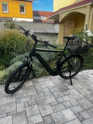 ebike - Bulls Iconic EVO 1 750