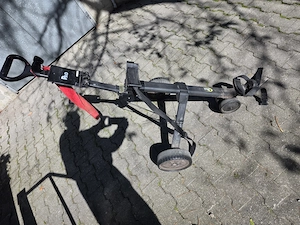 SUCHE big max elektro caddy in jedem zustand 