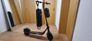 E-Scooter Segway-Ninebot F2 Pro D 