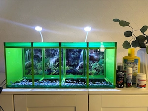 Zuchtbecken für Fische 