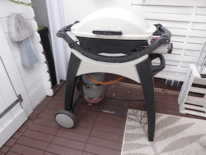 Weber Gasgrill