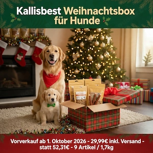 Kallisbest Weihnachtsbox für Hunde   Vorverkauf ab 1. Oktober 2026