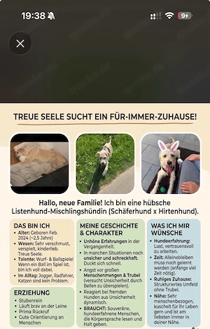 nala zu abgabe 