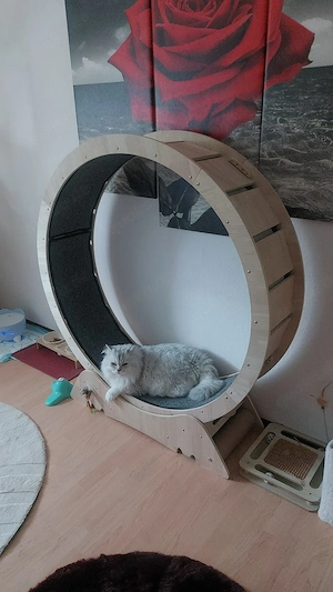 Großes Katzenlaufrad aus Holz