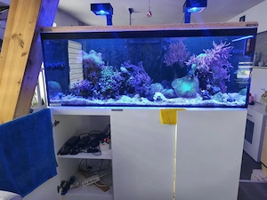 Aqua Medic meerwasser aquarium komplett 