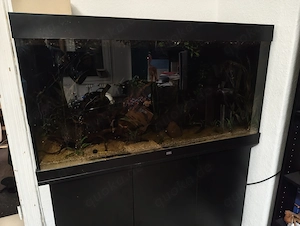 350l Juwel Aquarium (nur Selbstabholung)