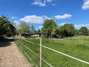Offenstall Pferdestal Aktivstall mit Trail