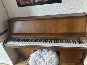 Schimmel Klavier capriccio