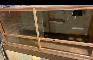 obs terrarium 