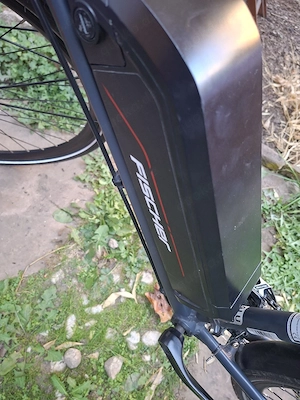 EBike Fischer eth 1822 plus 1Akku extra