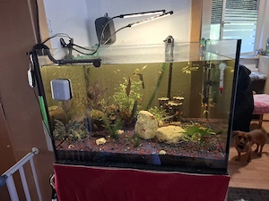 Aqiarium ist leer 250 Liter 
