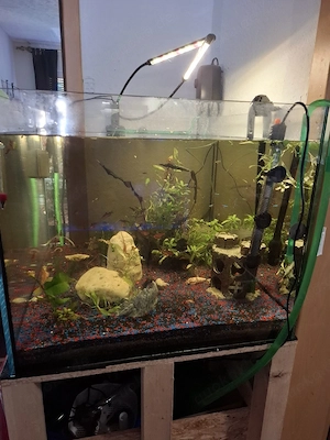 Aqiarium ist leer 250 Liter 
