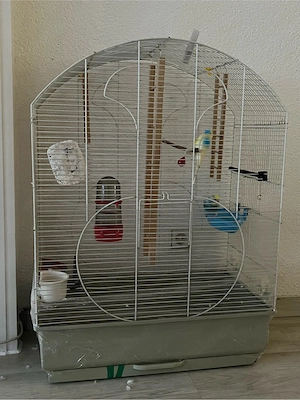 wellensittich mit käfig 