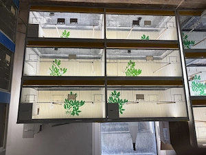 Van Keulen Zuchtboxen - 6er Zuchtblock inkl. LED & Nistkästen