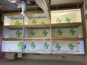 Van Keulen Zuchtanlage - 9 große Zuchtboxen   3 Zuchttürme