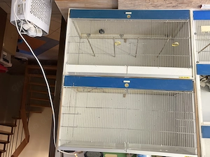 2 große Graf Zuchtboxen 100 50 60 cm - Vogelzucht   LED