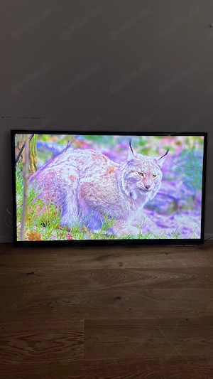 PEAQ 55 Zoll Fernseher